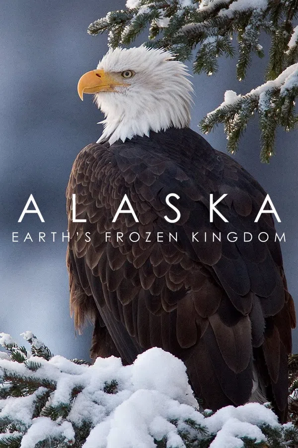 Poster phim Alaska: Vương Quốc Băng Giá trên PhimMoi