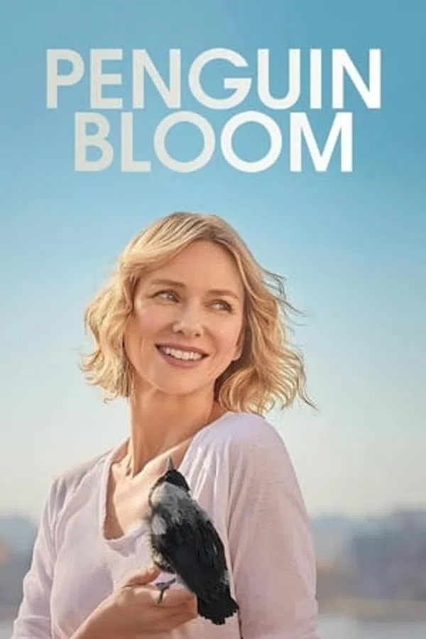 Poster phim Cánh Cụt Nhà Bloom trên PhimMoi