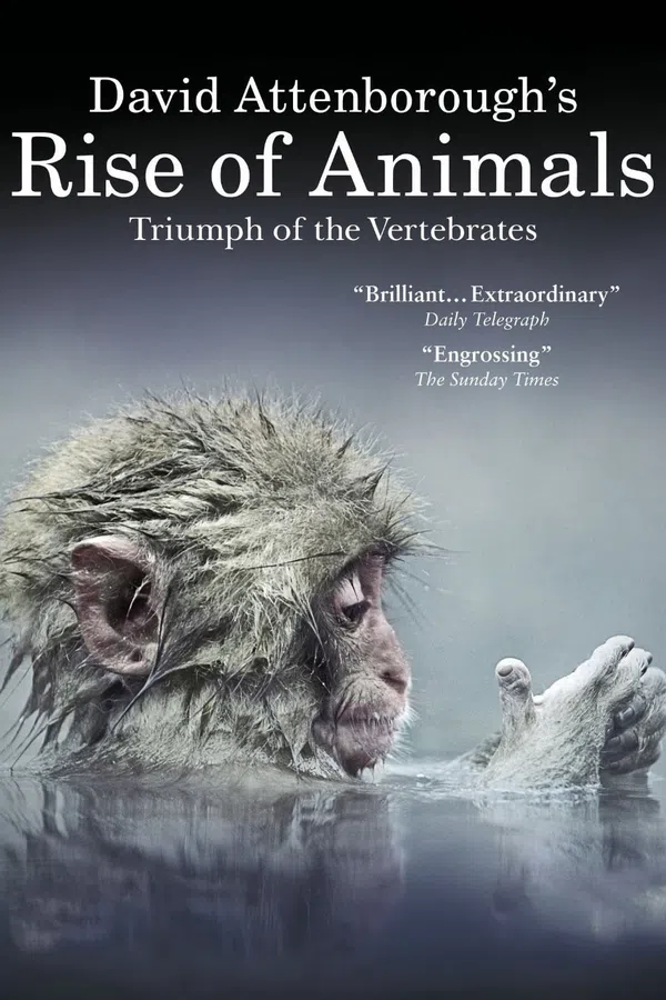 Poster phim David Attenborough's Rise of Animals: Triumph of the Vertebrates trên PhimMoi