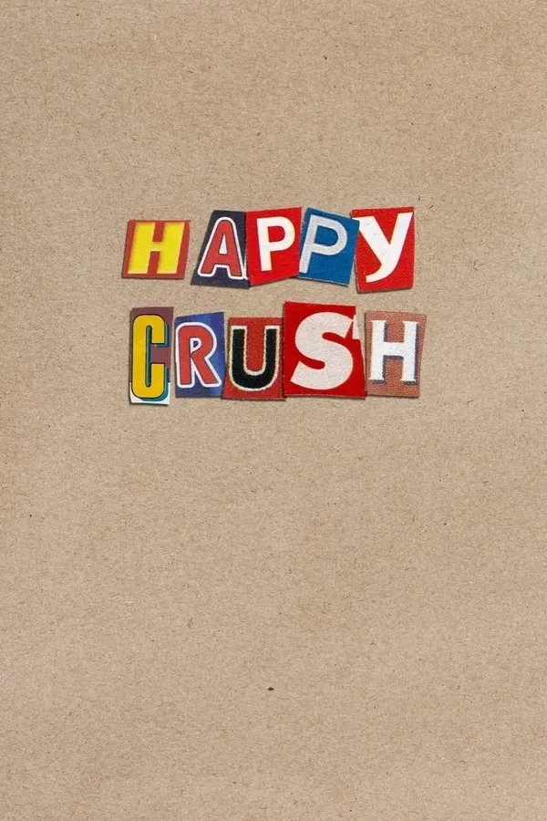 Poster phim Happy Crush trên PhimMoi