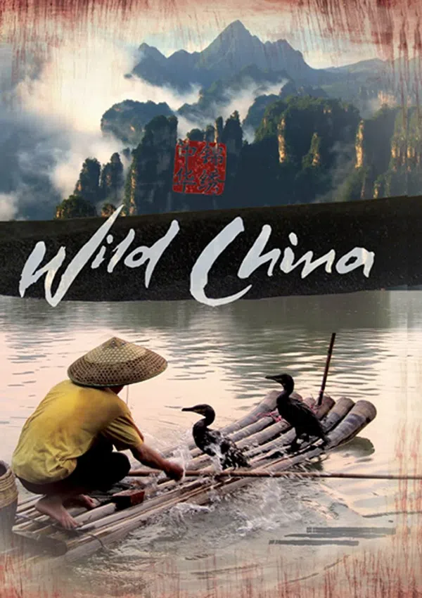 Poster phim Thiên Nhiên Hoang Dã Trung Quốc trên PhimMoi